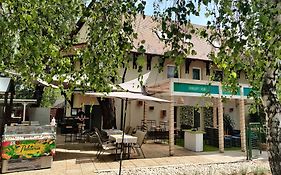 Villa Italia Guest House